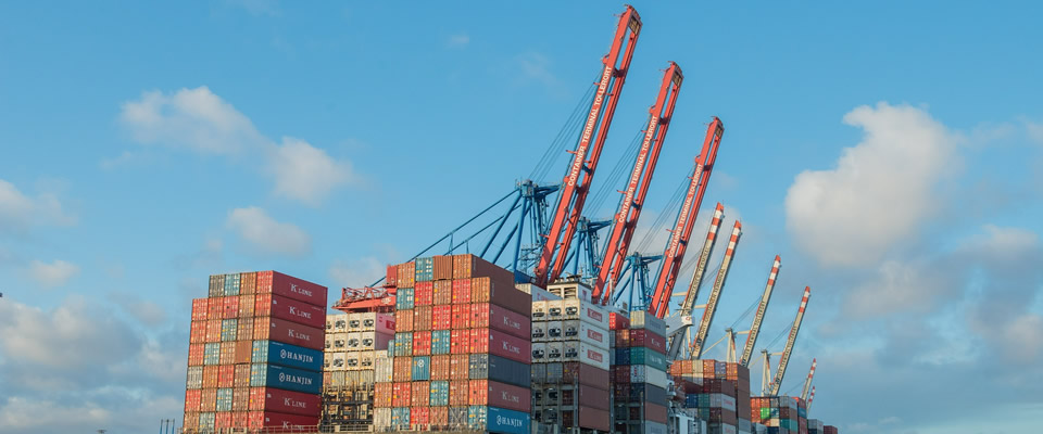 Customs BrokerIn everything related to Foreign Trade, Custom broker service liable, secure an on time.