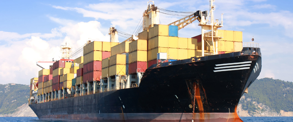 Import LicensesAndean Value Licenses, DTA forms, and every other required by the norm.